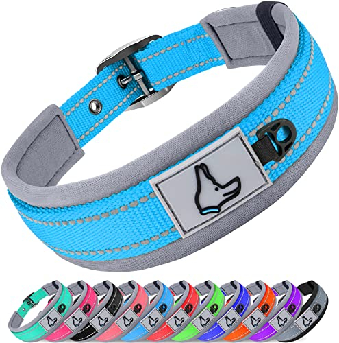 Joytale Halsband Hund, Weich Hundehalsband Gepolstert Neopren Hunde Halsband für Kleine Hunde, Nylon Reflektierend Breit Halsbänder, Baby Blau