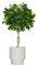 Fibre Clay Plant Pots Indoor/Outdoor Modern Contemporary Flower Pot Planters Patio Decking Lawn Doorstep Porch Houseplant Shrub Topiary Bush Plant Pot Clay Planters (Beige, Medium 31L)