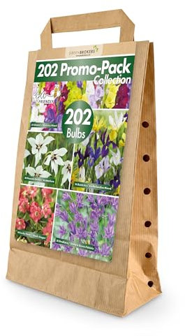 Mixed Summer Flowering Bulbs | 202 Bulbs in 5 Varieties | Bee & Butterfly Friendly | Eco Packaging | Premium Quality