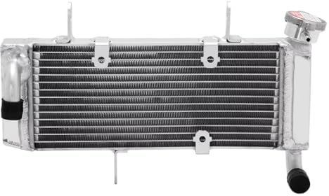 Compatibile con Ninja 125 per Z125 2019 2020 2021 2022 Radiatore Motore Raffreddamento Radiatore Acqua Refrigerante Serbatoio Troppo Pieno Radiatore Serbatoi di Troppo Pieno