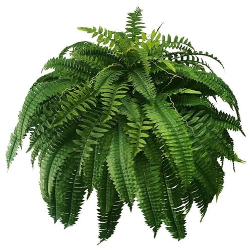 AZIDWERYQ Artificiale 37 pollici 66 foglie Felci realistiche Felci finte in plastica Piante artificiali decorative in vaso o appese per giardino esterno Felce finta