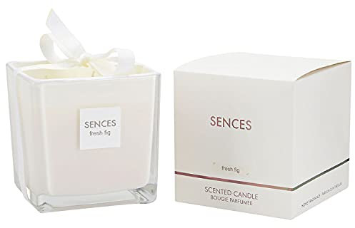 550g Fresh Fig Sences Large Square Wax Candle, Luxury Beautiful Home Fragrance Scented Jar Candles for Bedroom Living Room Home Decor