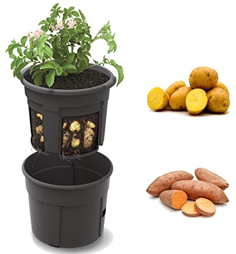 botle Kartoffel Plantztopf Blumentopf Pflanzkübel für Kartoffeln Kartoffel-Anzuchttopf 28 L, Höhe 31,6 cm, Potato Topf Korb