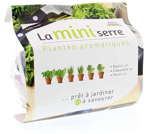 Mini serre herbes aromatiques