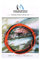 MAXIMUMCATCH Angelschnur Tenkara Schnur, Geflochtene Nylon-Schnur in 11/12/13 FT, 3 Farbe (Orange/Schwarz, 12ft)