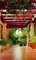 Vlies Fototapete TERRASSE 150 x 250 cm | Vliestapete - Wandtapete inklusive Kleister | PREMIUM VLIES QUALITÄT