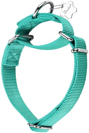 Dazzber Martingal Halsbänder für Hunde, Verstellbar Langlebig Kein Escape Stop Ziehen Hundehalsband Nylon für Große/Mittlere/Kleine Hunde (M(36cm-53cm), Teal-Blau)