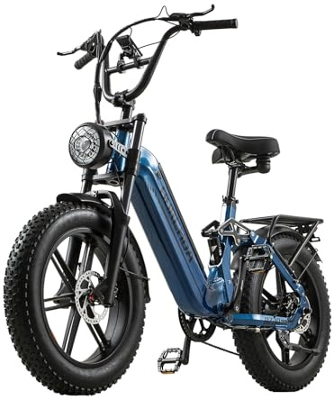BURCHDA E Bike elektrofahrräder Herren Damen, Ebike 48V 20Ah(960Wh) Akku bis 120km, 20x4 Zoll Electric Bike 7-Gang Getriebe mit LCD-Display,Vollfederung E Fahrrad 250W Motor 90 N.m, AZ20