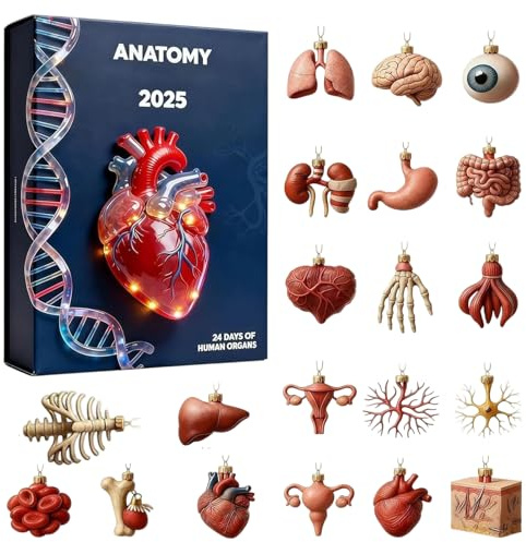dzqad Anatomischer Adventskalender | 2D-Advent-Anhänger, 24 Tage, lustige Miniaturen, D Anatomie Mensch, für Haus, Büro, Schule, Labor, Wissenschaftsliebhaber, Krankenschwestern, Lehrer