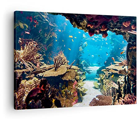 Bilder auf Leinwand Ozean Riff Fische Koralle Leinwandbild 70x50cm Wandbilder Dekoration Wohnzimmer Schlafzimmer Küche Deko Klein Wanddeko Bild Wand Kunstdruck Art Wall Decor Canvas AA70x50-2872