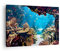 Bilder auf Leinwand Ozean Riff Fische Koralle Leinwandbild 70x50cm Wandbilder Dekoration Wohnzimmer Schlafzimmer Küche Deko Klein Wanddeko Bild Wand Kunstdruck Art Wall Decor Canvas AA70x50-2872