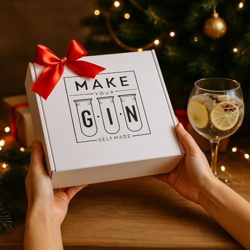 Make Your Gin Geschenkset Geschenkbox Gin zum Selbermachen - Absolut Vodka, Fever-Tree Mediterranean Tonic Water 500ml + Botanicals + Bar Trichter + Anleitung mit Rezept