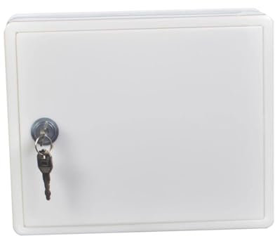 Colcolo Wall Mount Milk Box with Lock, Milk Bottle Case Portable Mailbox Practical Lockable Milk Delivery Box for Home Cafe