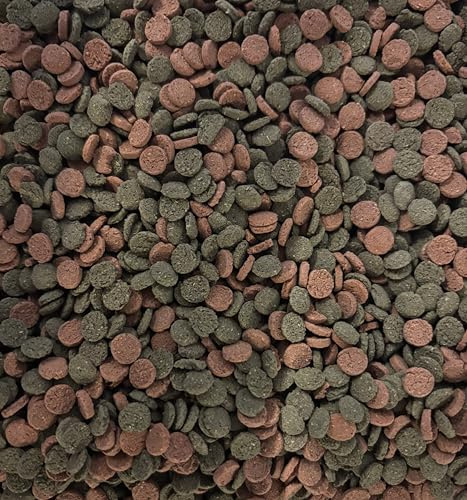 Miniwafers Mix – 6% Spirulina & Astaxanthin – sinkende Wafers für Boden- und Pflanzenfresser im Aquarium – ausgewogenes Futter für Zierfische & Wirbellose (100Gr)