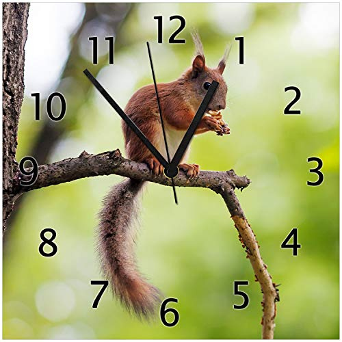 Wallario Design-Wanduhr Eichhörnchen auf einem AST aus Glas, Motiv-Uhr Größe 30 x 30 cm, Schwarze Zeiger