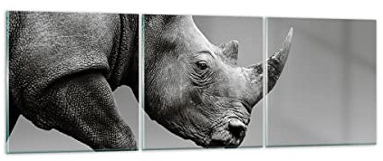 Moderne Impression sur Verre 120x40cm Image Tableau en Verre Decoration Murale Rhinocéros Monochrome Des Animaux Grand Tableaux Decoratifs Chambre Triptyque 3 parties Deco Salon Art GCA120x40-4954