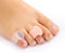 feifanshop Gel-Zehentrenner, 4 Stück Pinky Zehenspreizer, Zehenstrecker für Kleine Bunion korrektur, überstehende Zehen, Ballen, Hühneraugen und Blasen