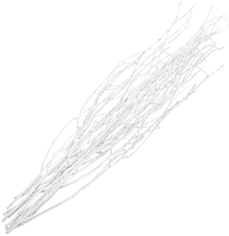 HOMSFOU Natürliche Birkenzweige 10 Stück Künstliche Zweige Lockige Weidenzweige Dekorative Getrocknete Zweige Gefälschte Stäbchen Für DIY-Grünpflanzen Vasen Heimbüro-Dekoration Weiß
