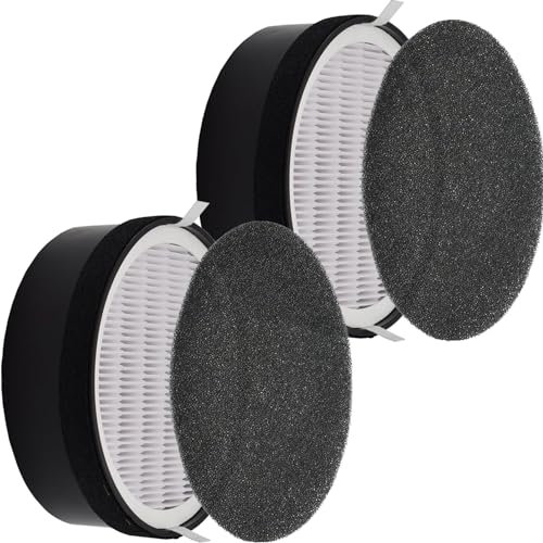 Air Purifier Filter Replacement for LV-H132, H13 True HEPA LV-H132, H13, Activated Carbon Filter, Part LV-H132-RF 2 Pack