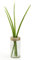 Side by Side Vase & Dose klar