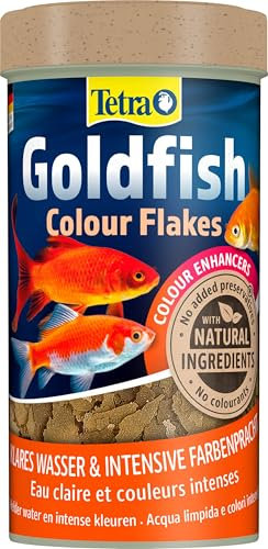 Tetra Goldfish Color Flakes - Mangime in fiocchi con esaltatori di colore naturali per tutti i pesci rossi e altri pesci d'acqua fredda, lattina da 250 ml
