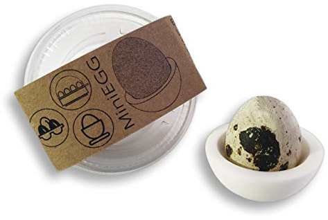 MiniEGG - 2 Stück - Einsatz für kleine Eier, kompatibel mit Eierkocher, Eierbecher, Eierfach, Brutgerät