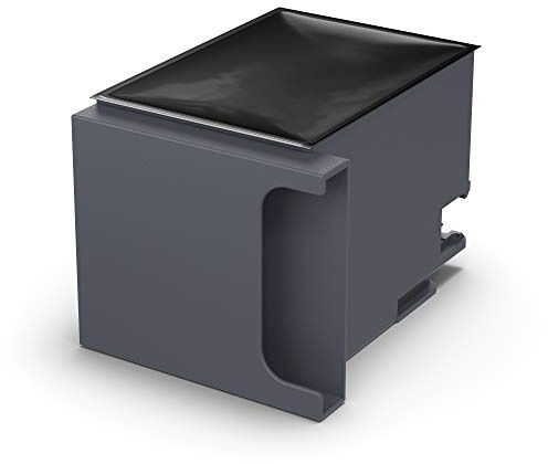 Epson Ink/Maintenance Box