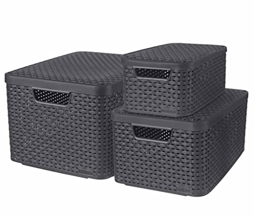 CURVER STYLE Box 3er Set S/M/L mit Deckel, anthrazit, 46,2 x 34,2 x 27,5 cm