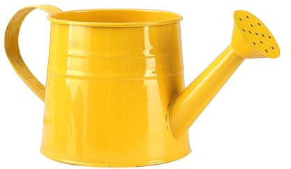 GießKanne Mit Sprinklerkopf Klein Zimmerpflanzen BlumengießKanne Aus Metall Giesskanne PflanzengießKanne Kleine GießKanne GartengießKanne Watering Can BlumentöPfe Kleine Vasen Gartenwerkzeug (C)