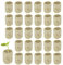 USHS Pack of 30 Rockwool Cube Rock Wool Plugs Soil Seedling Block Propagation Cubes Rock Wool Cube Hydroponic Earthless Culture Cylindrical Plant Stoppers for Cuttings Growing Seedling Vegetables