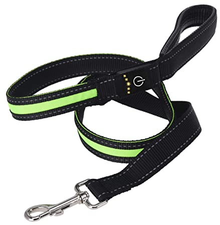 (Leine) LED Leine oder Halsband für Hunde, 2 Leucht-Modis, aus robustem Nylon, verstellbar, Reflektor. Leuchtleine, Halsband - Leuchthalsband - Hundebeleuchtung