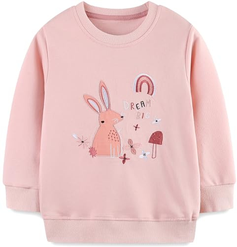 TEDD Girls Sweatshirt for Kids Cotton Top Casual Jumper Girl T Shirt Toddler Clothes Long Sleeve Pullover Age 4-5 Years