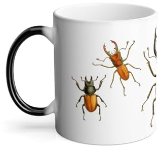 Thermoreagierende Tasse Magische Tasse – Käfer Bretter Insekten Biologie Antike Illustration – 325 ml
