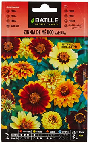 Semillas Batlle Zinnia de MEJICO variada