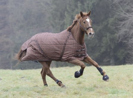 Busse Thermo-Stalldecke Stable Rug Advanced 135