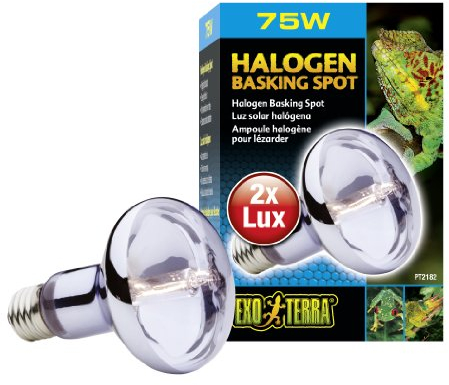 Exo Terra Halogen Basking Spot, Breitspektrum Tageslichtlampe, 75W, Fassung E27, 1 Stück (1er Pack)