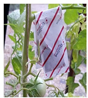 Red Spider Mite Treatment - Amblyseius Andersonii 10 sachets