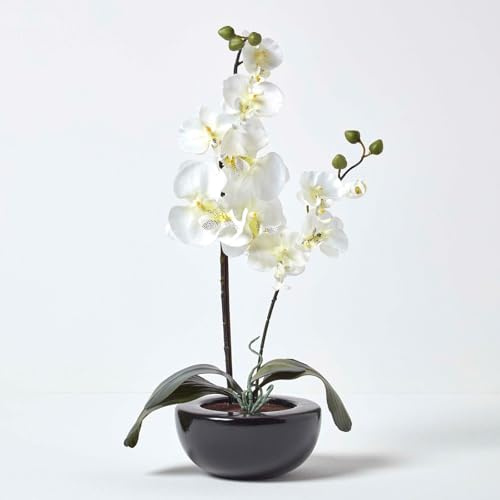 Homescapes Deko Kunstblume Orchidee Creme Gesteck im schwarzen Topf Höhe ca. 54 cm Kunstpflanzen mit Topf, Künstliche Pflanzen
