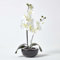 Homescapes Deko Kunstblume Orchidee Creme Gesteck im schwarzen Topf Höhe ca. 54 cm Kunstpflanzen mit Topf, Künstliche Pflanzen