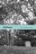 Xylotheque: Essays (English Edition)