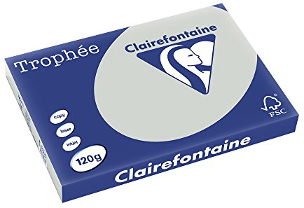 Clairefontaine 1274C - Ries Druckerpapier / Kopierpapier Trophee, Pastell Farben, DIN A3, 120g, 250 Blatt, Stahlgrau, 1 Ries