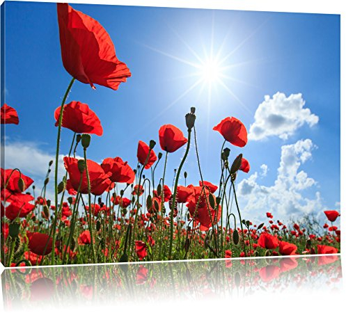 Pixxprint Mohnblumen, Größe: 80x60cm, Leinwandbild, fertig gespannt, Wandbild, Dekoration, Kunstdruck, kein Poster