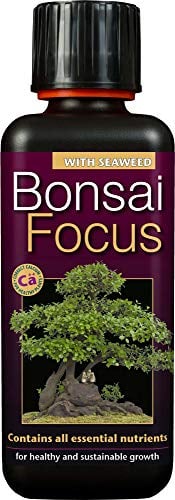 Engrais Liquide concentré Unique Bonsai Focus 300 ML