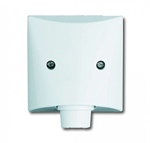 Busch-Jaeger BUSC Zentralscheibe 2133-32 AW44, bunt