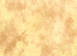 Lastolite Hintergrund (gefleckt mit Schleppe)