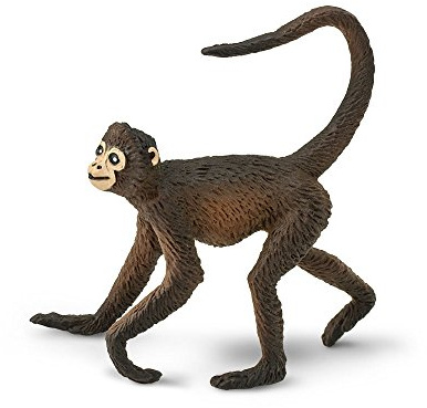 Safari Spinnen-AFFE, Weiß