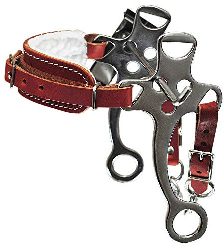 HILASON Verstellbares, mit Fleece gefüttertes Leder-Reithalfter Hackamore mit Panzerkette