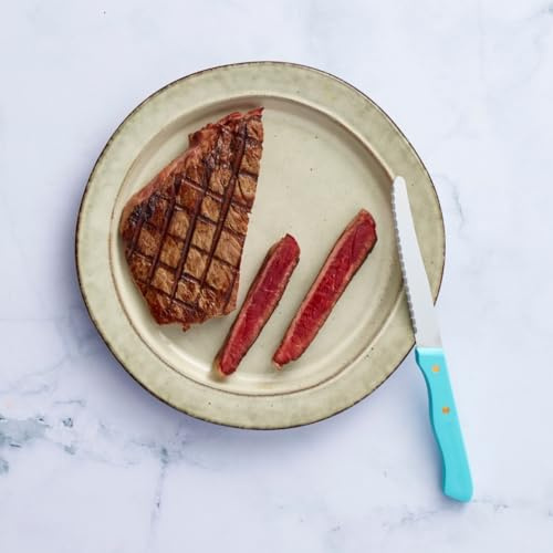 SABATIER – 6er-Set Tafelmesser SERIE 197 – 10,5 cm – Mikrogezahnte Klinge aus Edelstahl und Messingnieten – Perfekt zum einfachen Schneiden von Fleisch, Obst und Gemüse