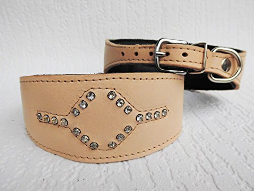 WINDHUND Halsband, Halsumfang 33-38cm, Leder +Strass Steine Zirkonia Natur (20-5-5-05)