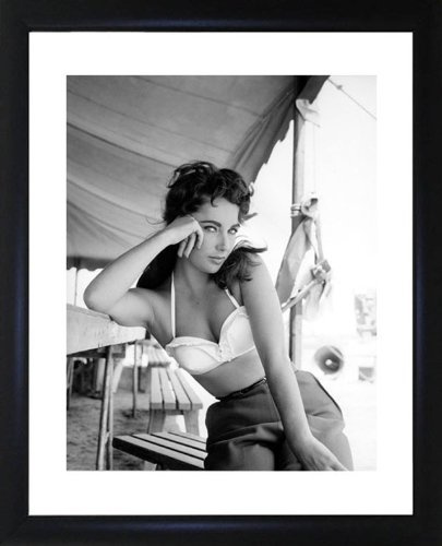 Picture Favourites Elizabeth Taylor Gerahmtes Foto
